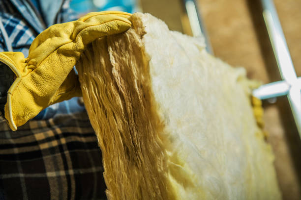 Best Spray Foam Insulation in Cecilia, LA