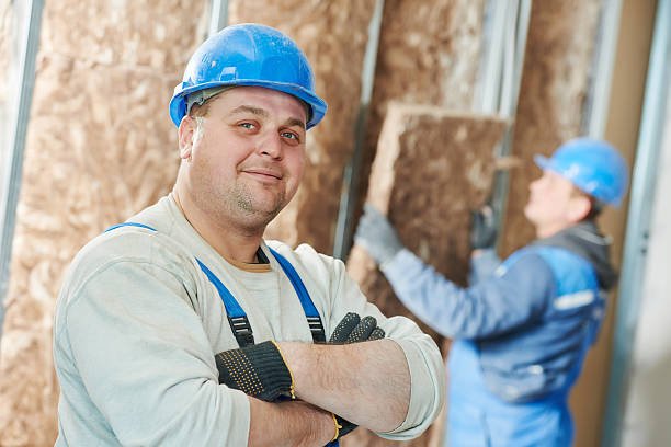 Best Residential Insulation in Cecilia, LA