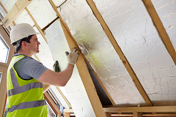 Types of Insulation We Offer in Cecilia, LA
